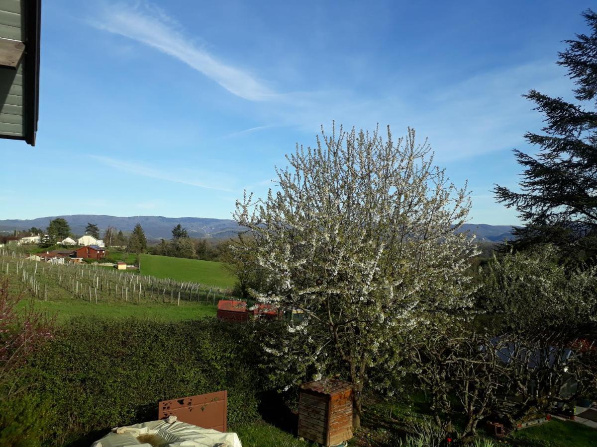 Chalet Norev Saint-Martin-du-Mont Eksteriør bilde
